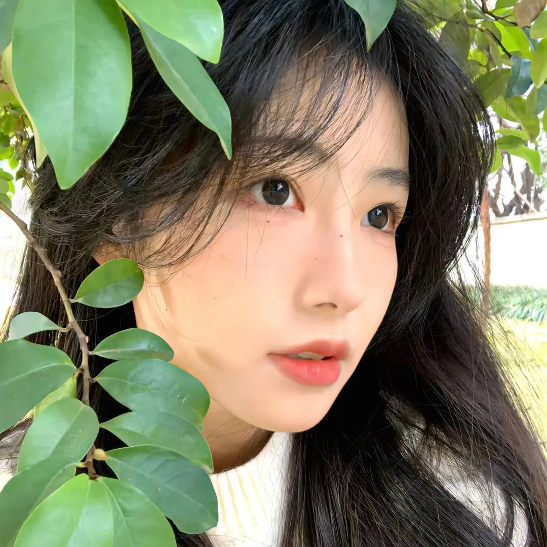 靓妹贵姓