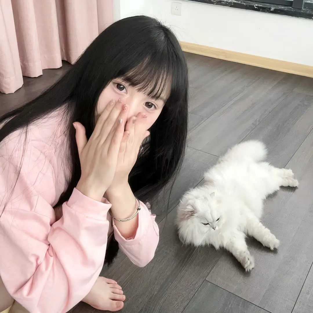 玫瑰骑士